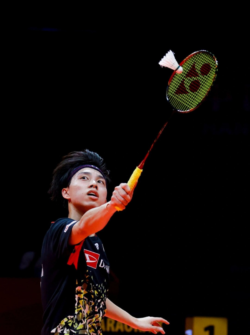 加索尔的全 加索尔的全