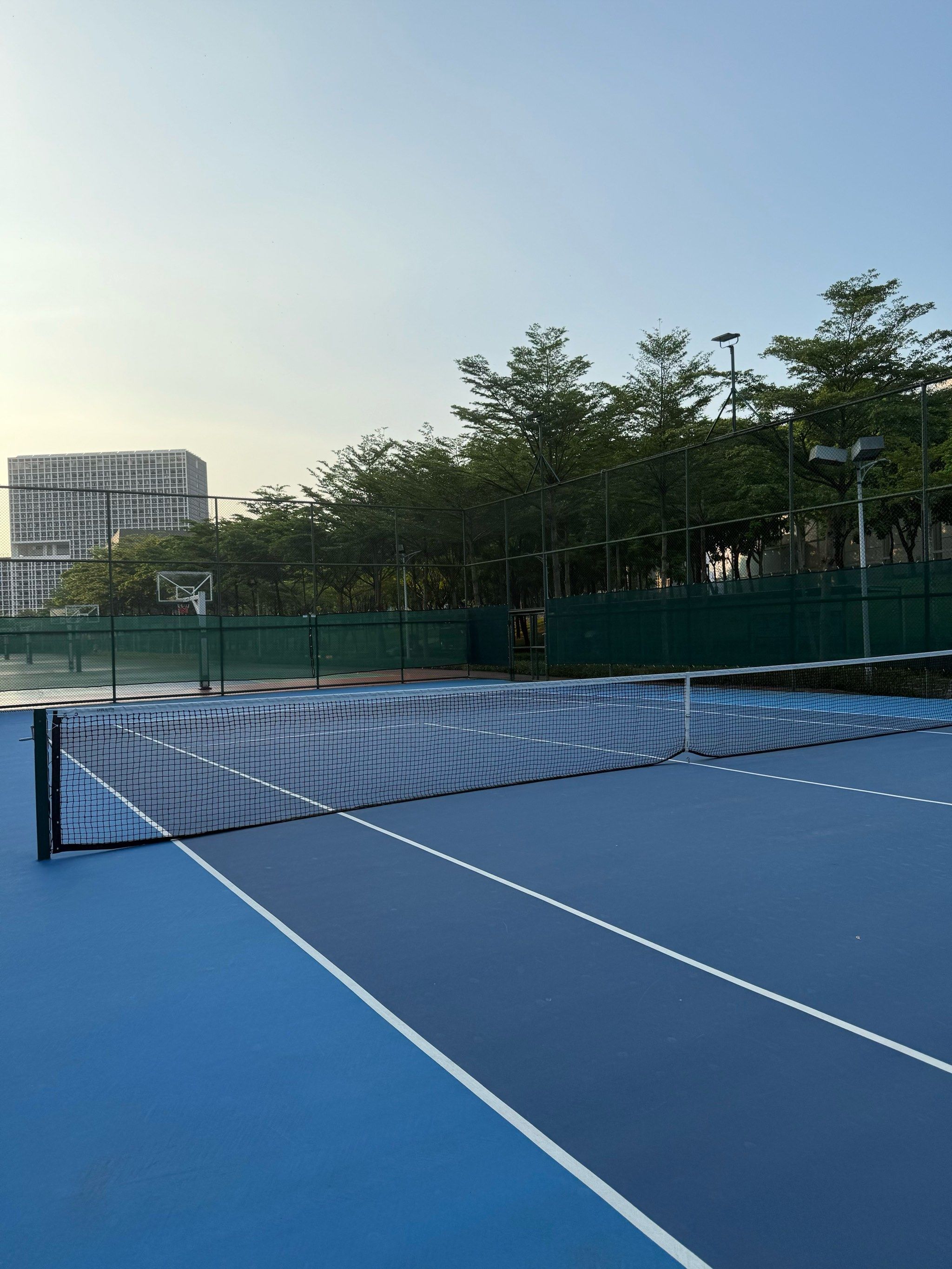 在东京奥运 在东京奥运