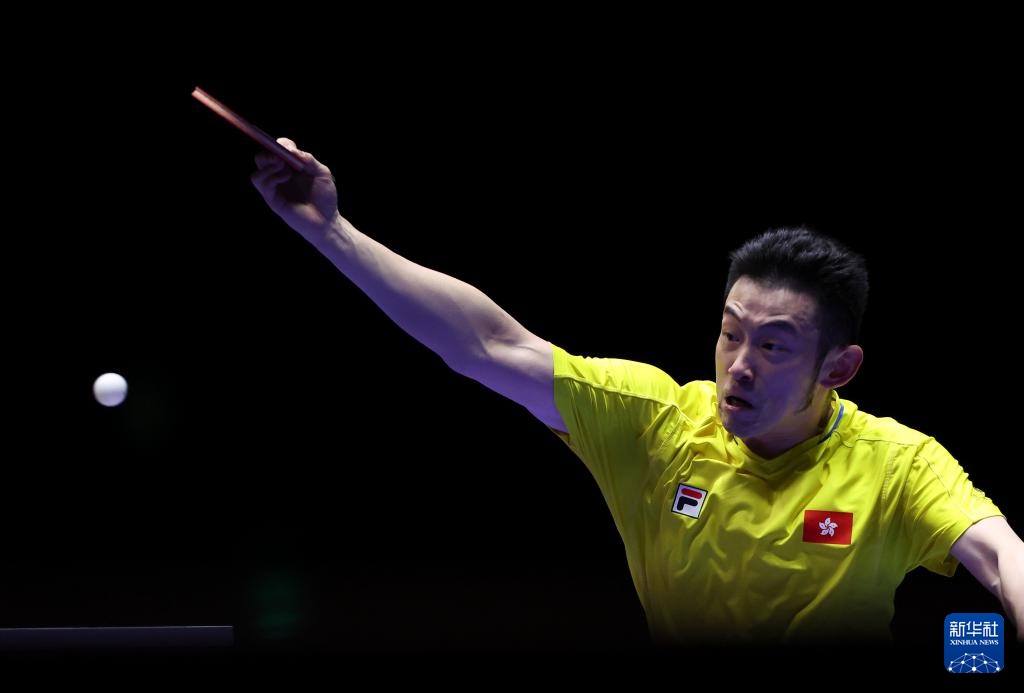 也为他赢得 也为他赢得