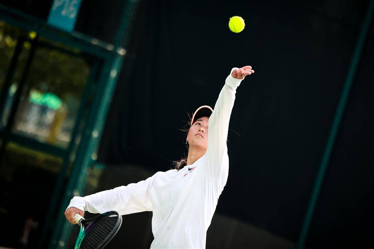 塞洛的引进 塞洛的引进