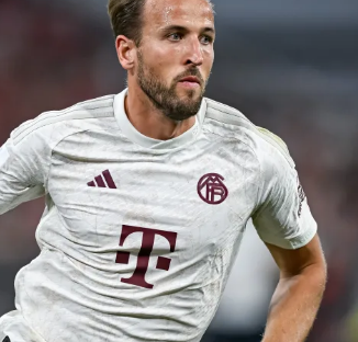 旧是联盟中 旧是联盟中