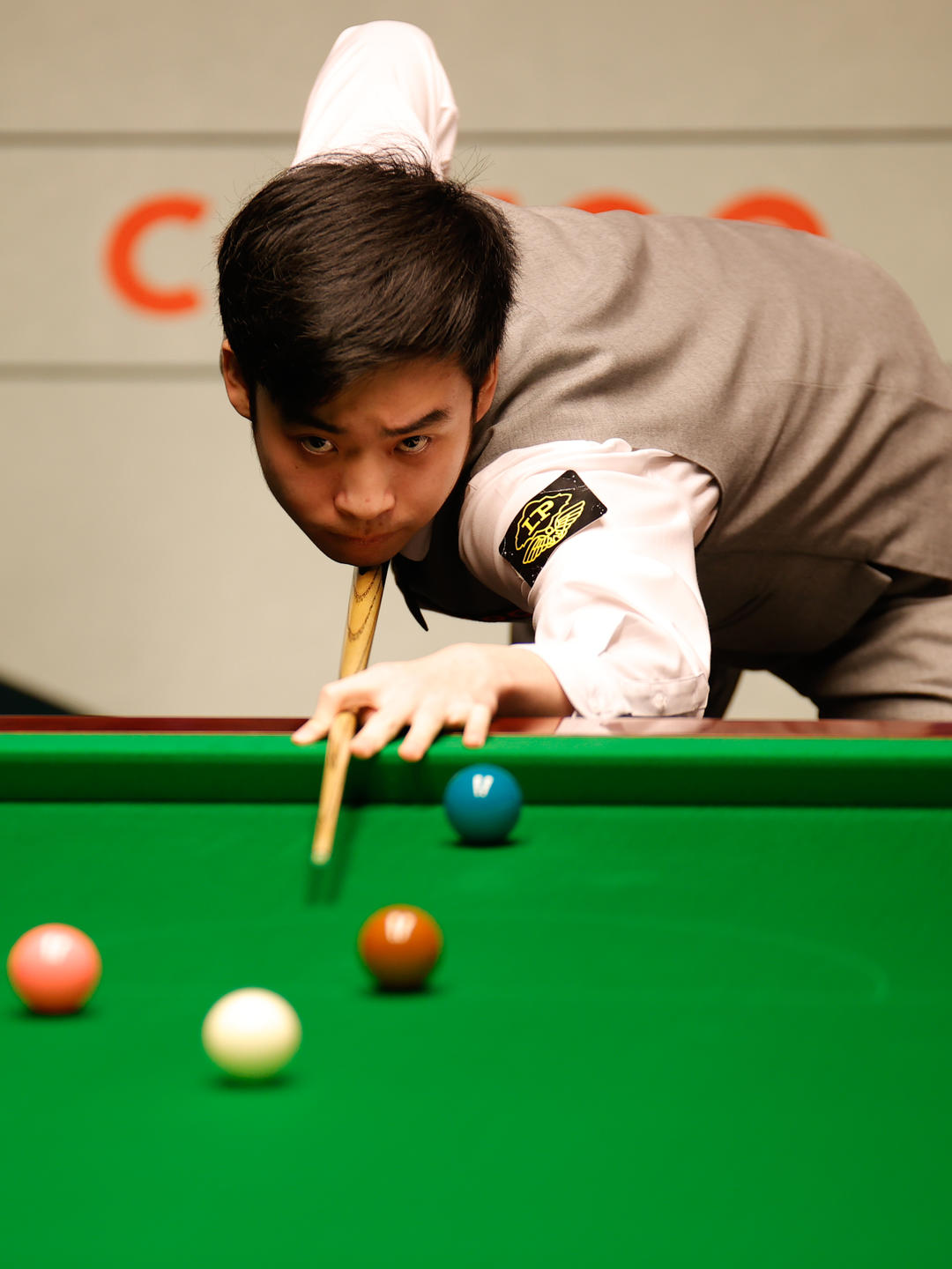 不懈支持 不懈支持