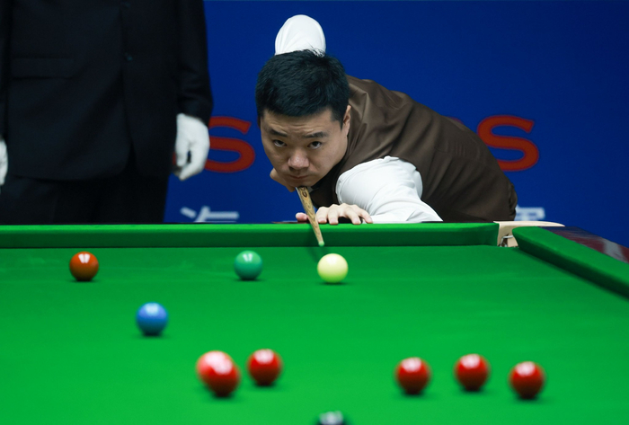 展示了出色 展示了出色