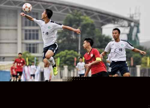 名号响彻纽 名号响彻纽